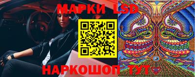 стафф Коммунар