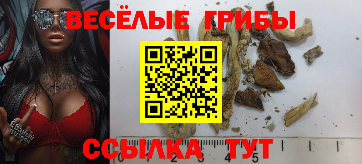 Галлюциногенные грибы Psilocybine cubensis Красноуфимск